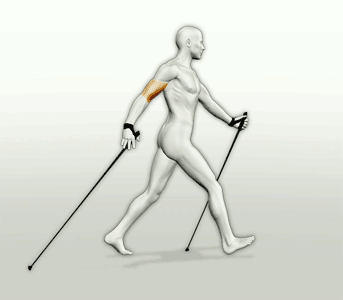 bonhommemn-120